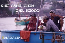Như cánh chim tha hương