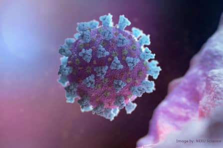 4 đường xâm nhập tế bào người, virus Vũ Hán thực sự là siêu virus